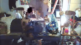 shanesecrets animated gif teaser