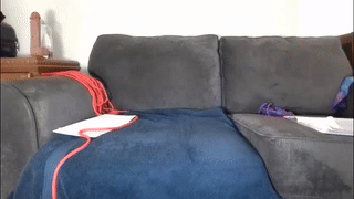 alessafrost_ animated gif teaser