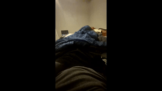dreamon007007007 animated gif teaser
