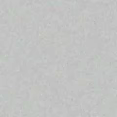 beardaddyl animated avif teaser