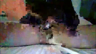 american_challenges animated gif teaser