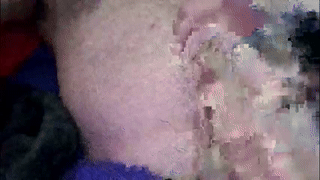 _tonywolf animated gif teaser