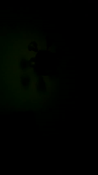 hornyblondieboyy animated gif teaser