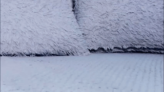 amylure animated gif teaser