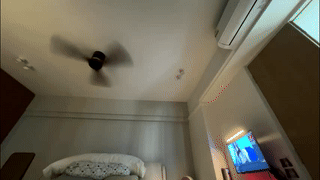 jiminez4 animated gif teaser