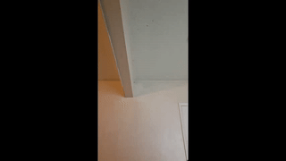 alan_stark animated gif teaser