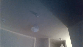 jacob_benelli animated gif teaser