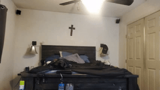 sophie_foxx animated gif teaser