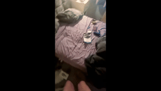 2alexoconor animated gif teaser