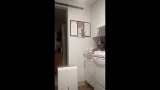 nicoymark1 animated gif teaser