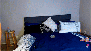 the_steele_zone animated gif teaser