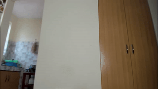 amary_turner animated gif teaser