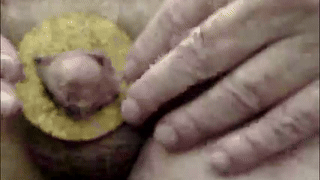 jordandenis17 animated gif teaser