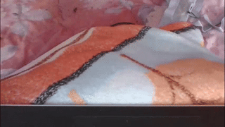 lisa__fox animated gif teaser