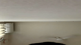 yao_23 animated gif teaser