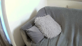 willing_and_wet animated gif teaser