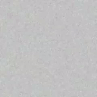 saracutie_ animated gif teaser