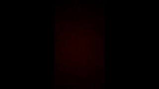 rodde_schlocer animated gif teaser