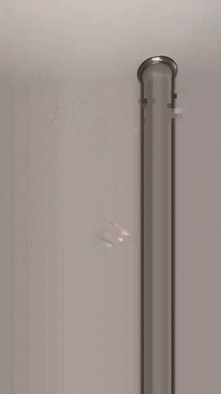 shiningdawn animated gif teaser