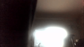 chillbicrew animated gif teaser