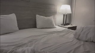 naughty8_boy animated gif teaser
