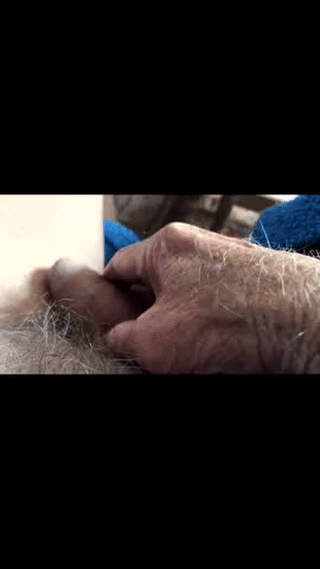 cuatropuntos animated gif teaser