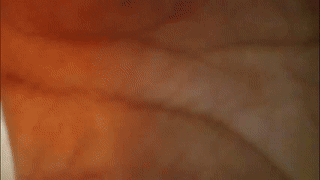 babesgowild animated gif teaser