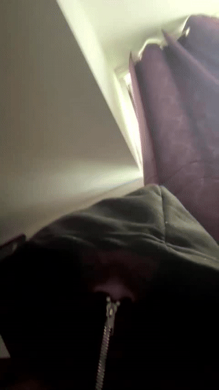 alejo_323__ animated gif teaser