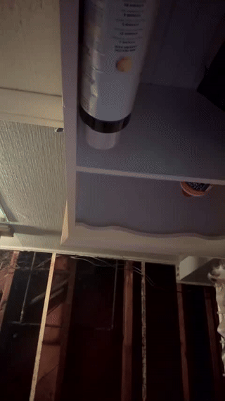 maestro3369 animated gif teaser