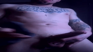 felixcurt69 animated gif teaser