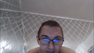 north_stallion animated gif teaser