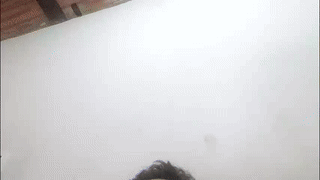 golden_girlsss animated gif teaser