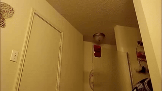 persianprince546 animated gif teaser