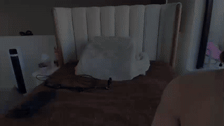 miss_sophii777 animated gif teaser