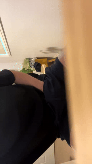 woolfiie animated gif teaser