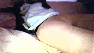 hols_20 animated gif teaser