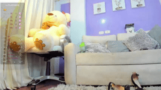 playussoftly animated gif teaser