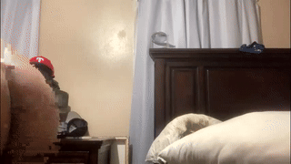 michelleapihel animated gif teaser