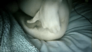 black30cmdick animated gif teaser