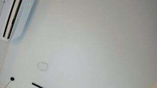 minnie_joy_ animated gif teaser