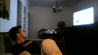 max_dic1 animated gif teaser