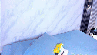 bellidream animated gif teaser