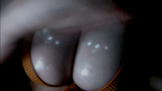 danii_xoxo animated gif teaser