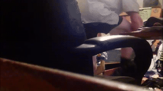 jaylen_and_duke animated gif teaser