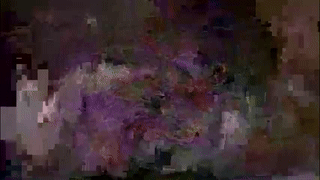 angel_sunshine animated gif teaser