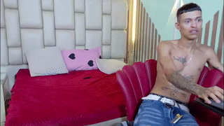 dashly_ animated gif teaser