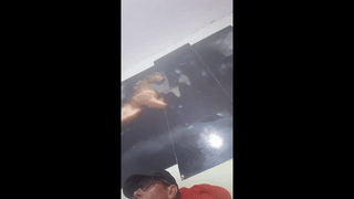 hornypilotguy animated gif teaser