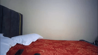 carlottabradney animated gif teaser