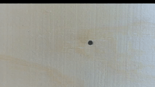 hazelhartshorn animated gif teaser