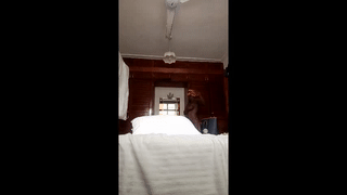 myassistant animated gif teaser